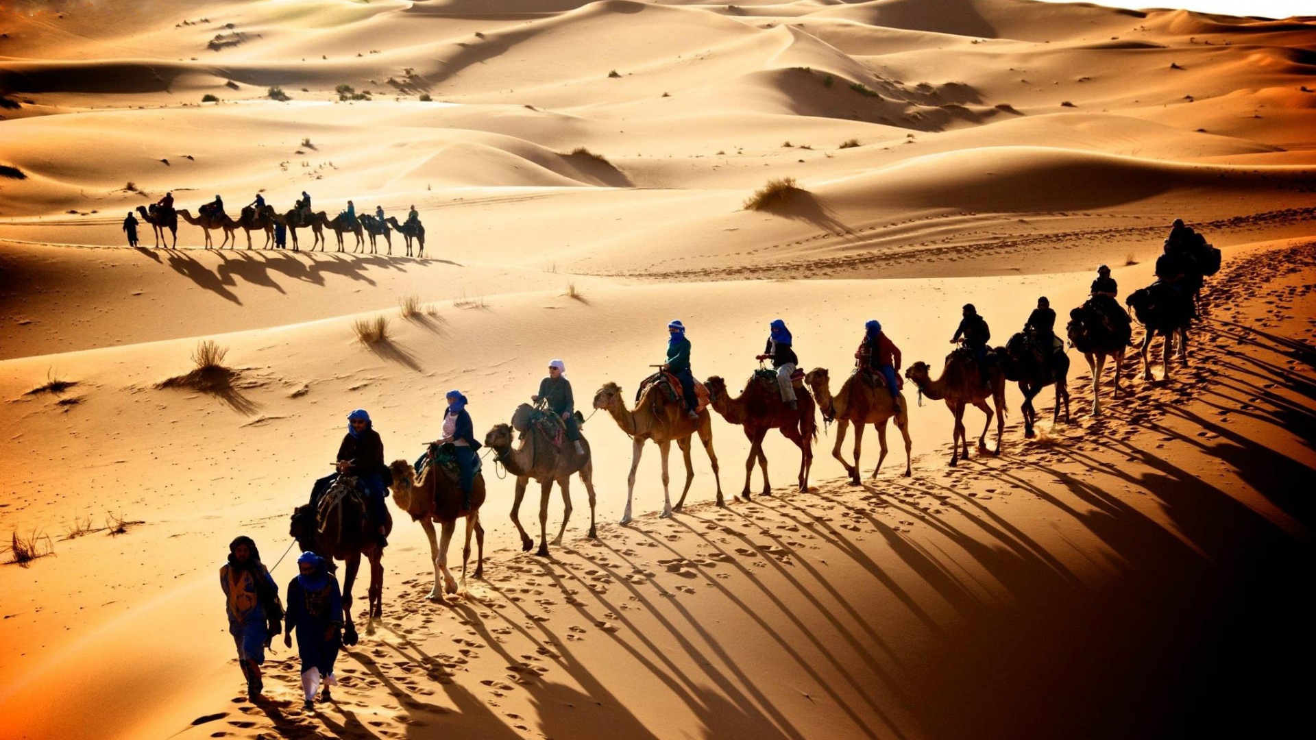 Voyage dans le désert marocain